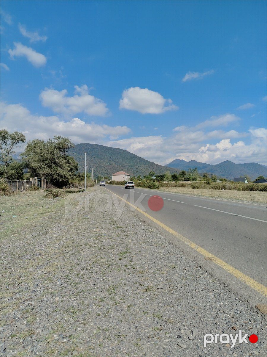 Satılır torpaq 5 sot — Torpaq, Qəbələ (7)