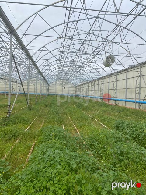 Satılır obyekt 1500 m² — Bakı