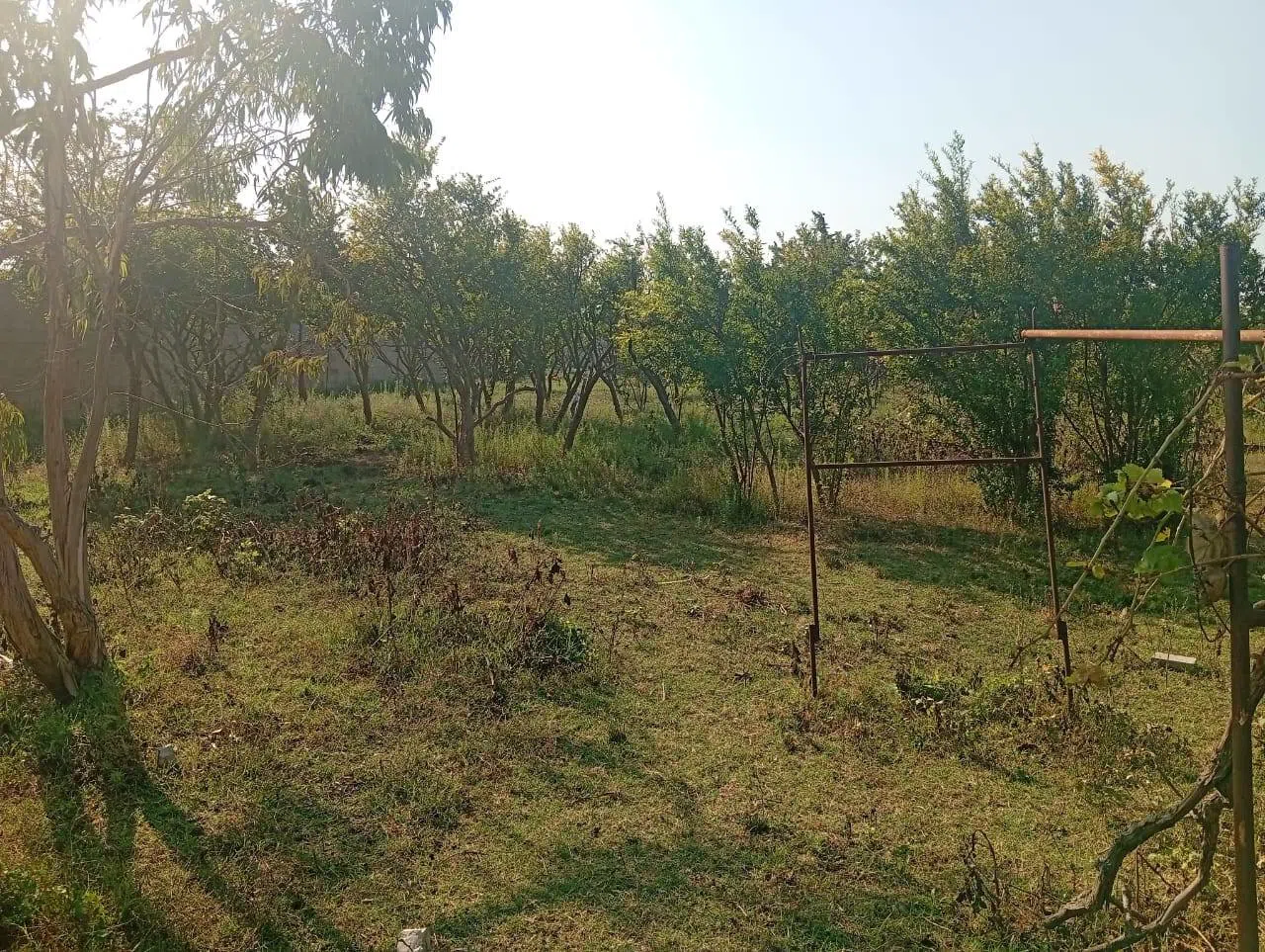 21 sot torpaq sahəsi satılır — Bakı