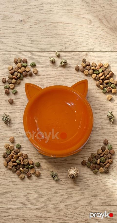 Kasa pişiklər üçün 85449642, 10x10 sm, narıncı — Bakı