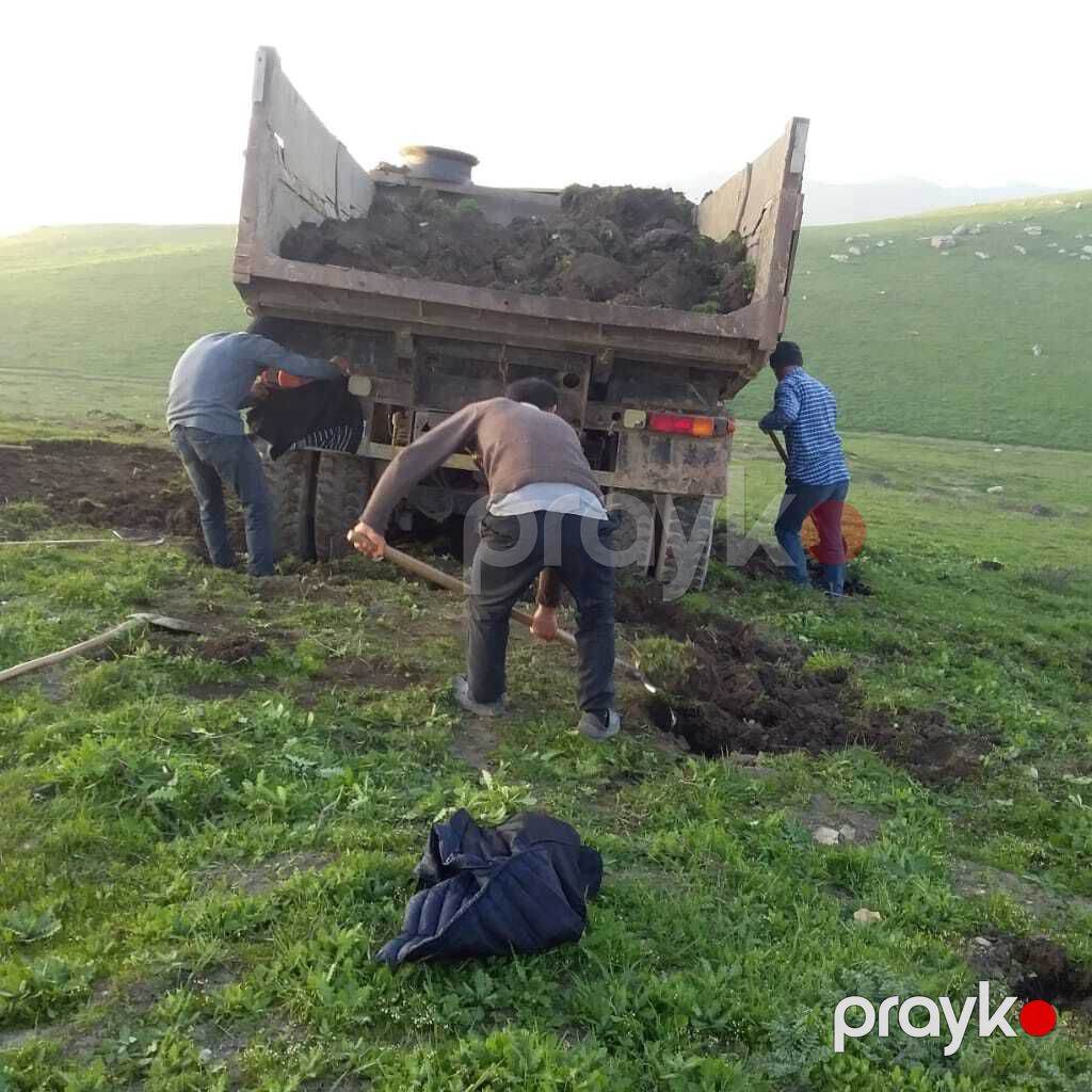Qara torpaq və peyin — Dacha və bağ, İsmayıllı (2)