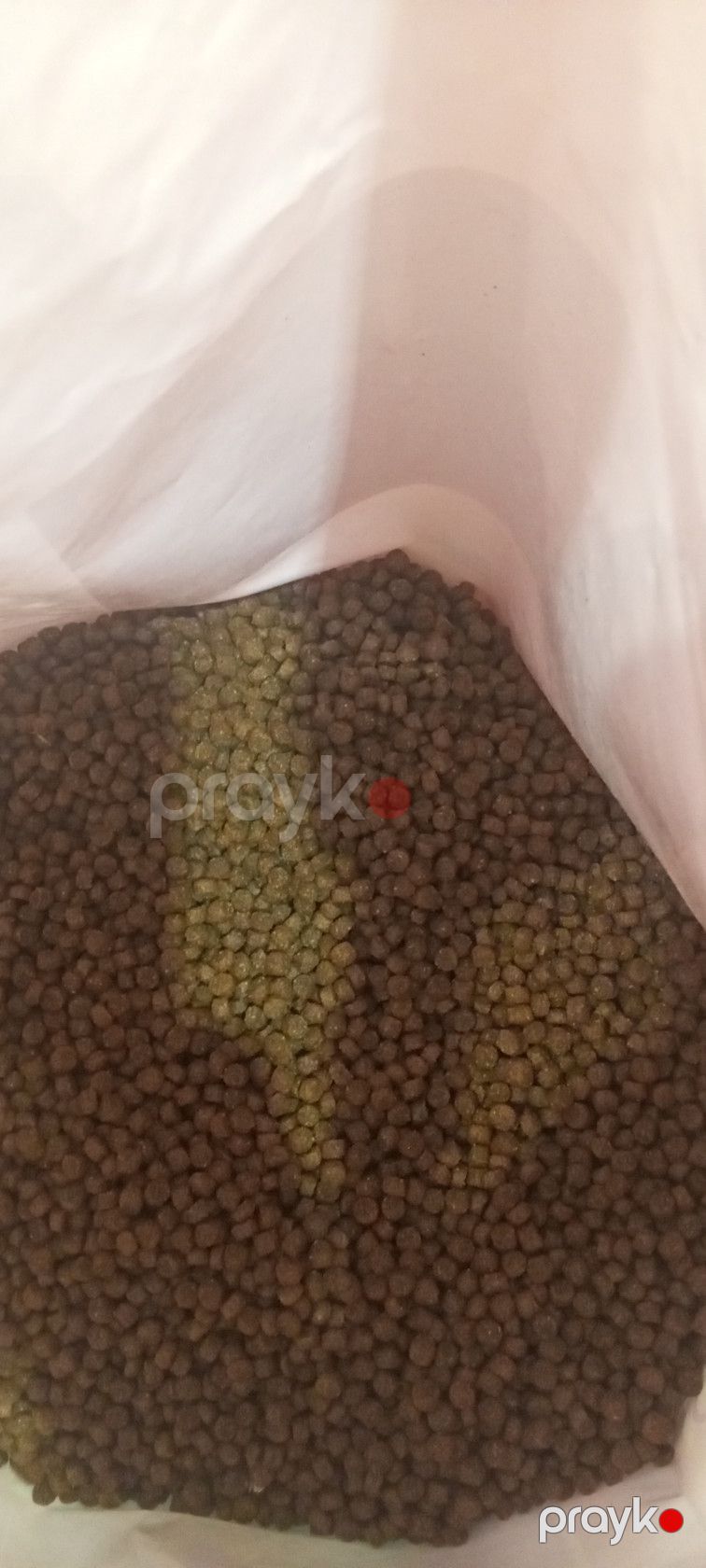 Quru yem Winny, pişik balaları və hamilə pişiklər üçün, 1 kq, çəki ilə — Mallar, Bakı (2)