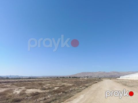 150 sot torpaq sahəsi, Şamaxı r — Şamaxı