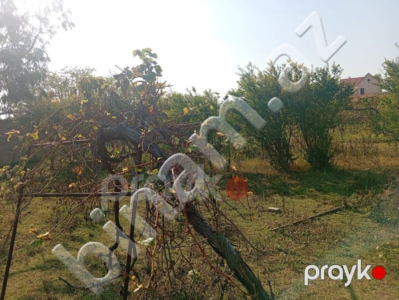 21 sot Torpaq, Satış, Bakı, Sabunçu — Torpaq, Bakı (8)