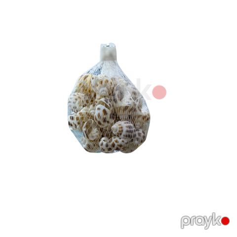 Akvarium üçün balıqqulaqları — Bakı