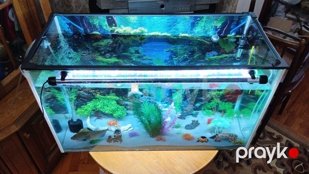Akvarium 84 litr — Akvariumlar və balıqlar, Bakı (3)
