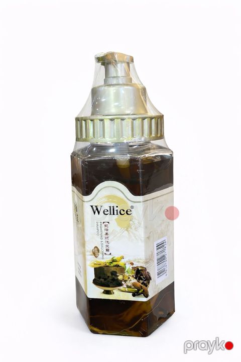 Saç tökülməsinə qarşı şampun Wellice Anti Hair Loss Pro-v, 400 ml — Bakı