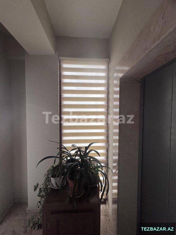 Zebra pərdə modeli jalüz — Təmir xidmətləri, Bakı (4)