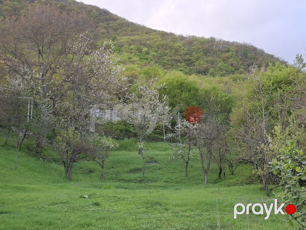 Kənd təsərrüfatı — Torpaq, Şamaxı (2)