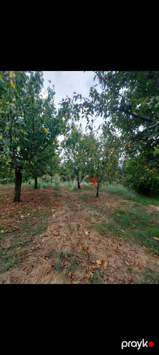 Həyət evi, Xudat r — Ev, villa, Xudat (11)