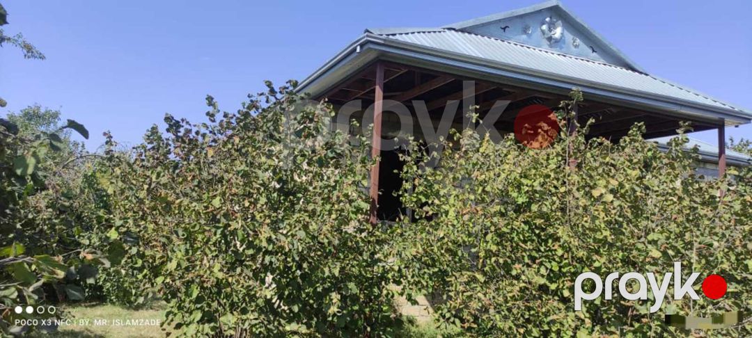 Satılır 4 otaqlı həyət evi/bağ evi 110 m² — Ev, villa, Oğuz (9)