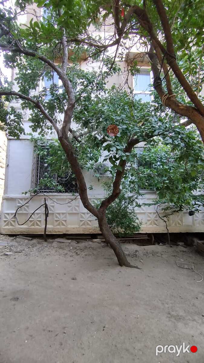 Satılır 3 otaqlı yeni tikili 80 m² — Mənzil, Bakı (10)