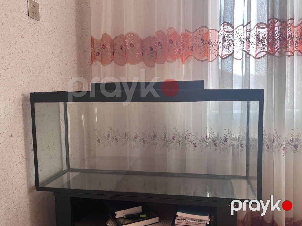 Hazır akvarium komplekti satılır\. Akvariumla birlikdə filtr — Akvariumlar və balıqlar, Bakı (2)