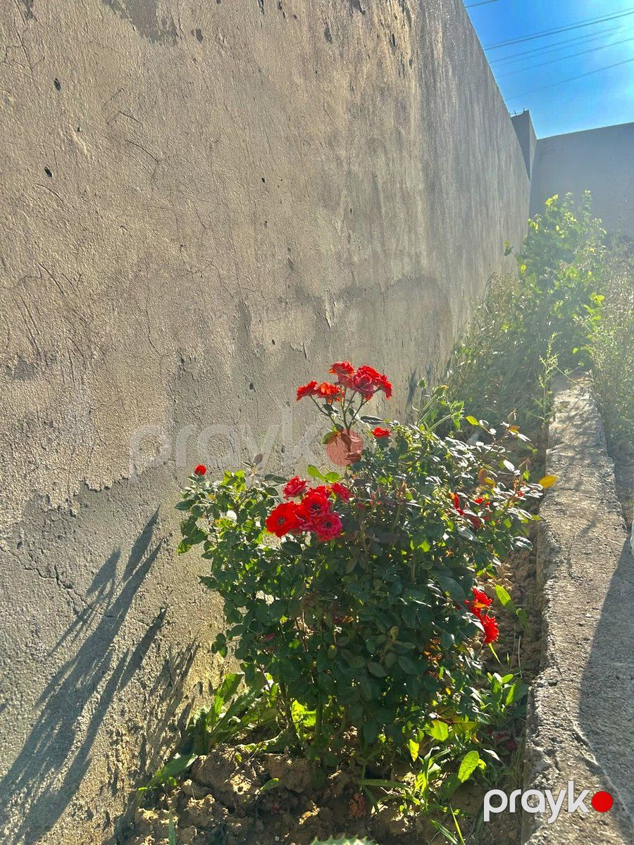Satılır 4 otaqlı həyət evi/bağ evi 185 m² — Ev, villa, Bakı (5)