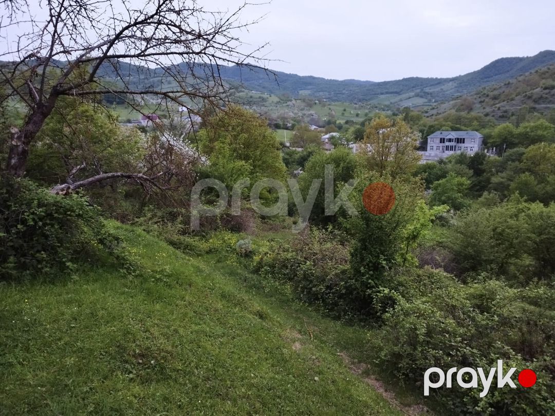 24 sot torpaq sahəsi, Quba r — Torpaq, Quba (4)
