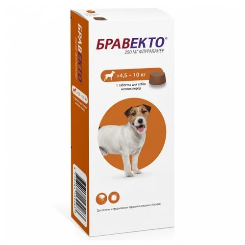 4,5 kq-dan 10 kq-a qədər çəkidə olan itlər üçün Bravecto — Bakı