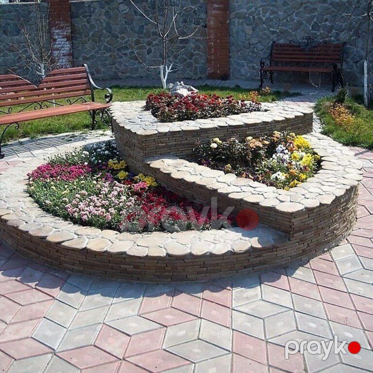 Həmişə yaşıl ağaclar — Bitkilər, Bakı (5)