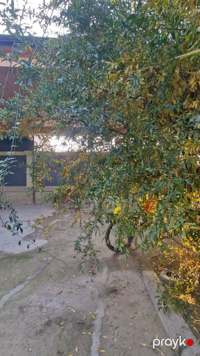 Satılır 5 otaqlı həyət evi/bağ evi 126 m² — Ev, villa, Bakı (11)