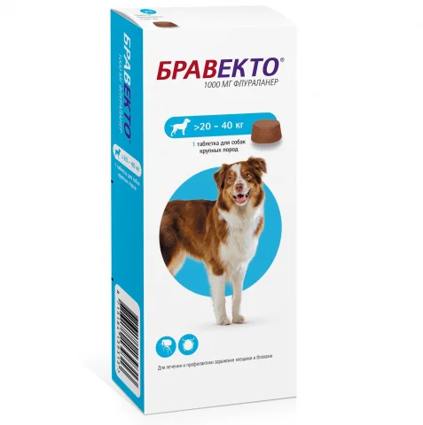 20-40 kq çəkidə olan itlər üçün Bravecto — Bakı
