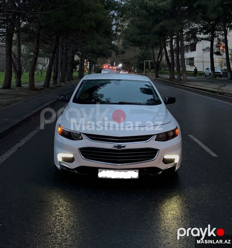 Chevrolet Malibu, 2020 il — Minik avtomobili icarəsi, Bakı (2)