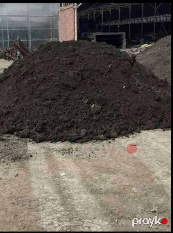 Qara torpaq və peyin — Dacha və bağ, İsmayıllı (12)