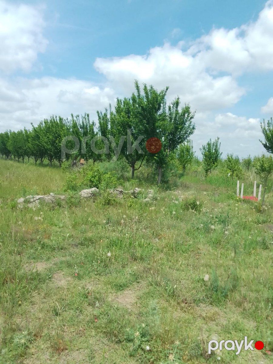 4200 sot torpaq sahəsi, Ağdaş r — Torpaq, Ağdaş (3)