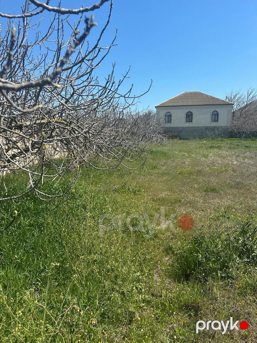 Satılır torpaq 12 sot — Torpaq, Bakı (4)