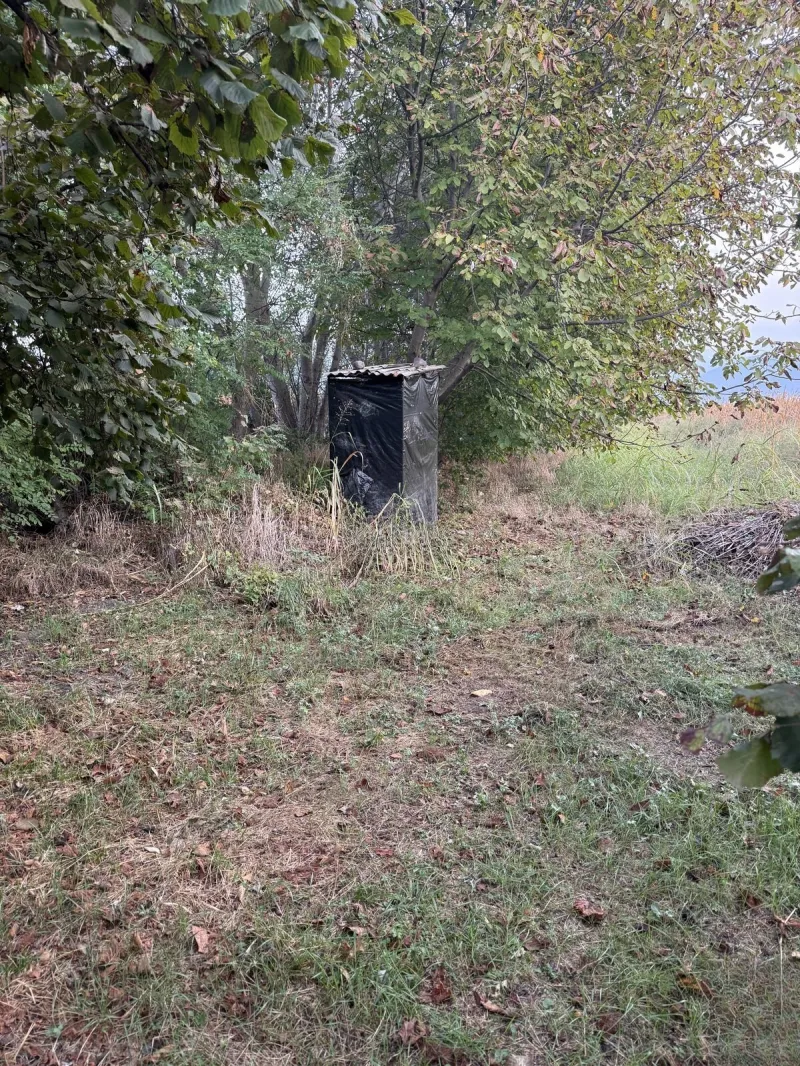 Satılır Torpaq 90 sot Zaqatala — Torpaq, Zaqatala (2)