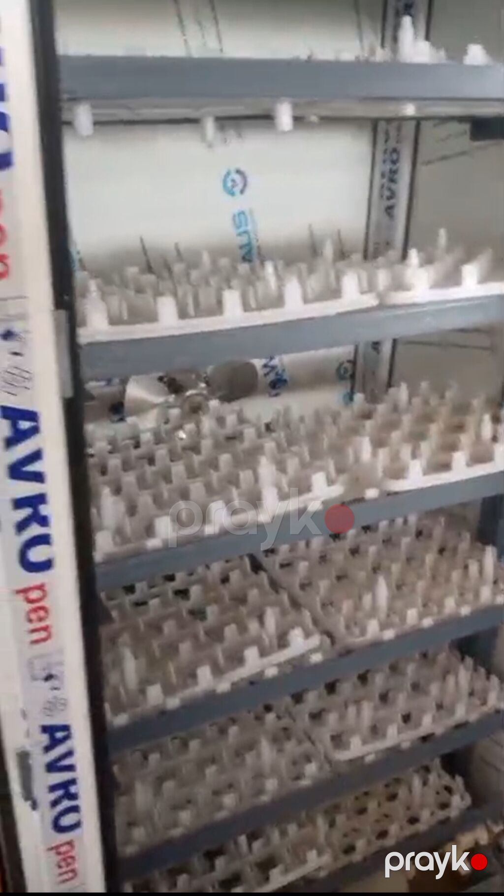 Inkubator satılır 800 yumurta tutur super — Kənd təsərrüfatı avadanlığı, Salyan (2)