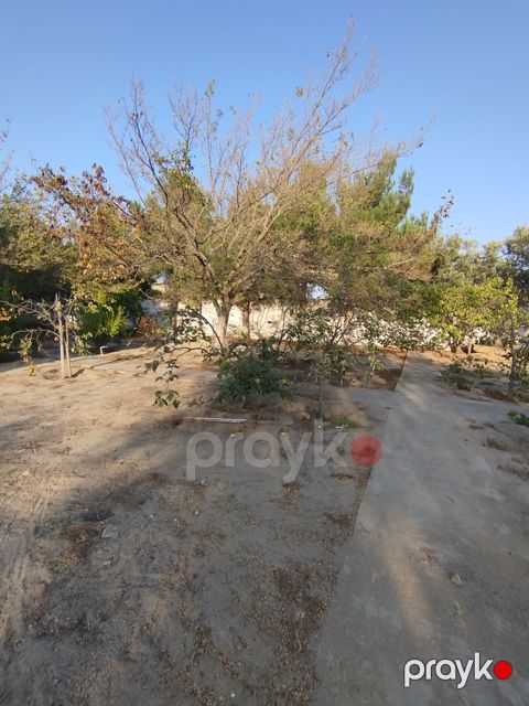 Satılır torpaq 2.8 sot — Bakı