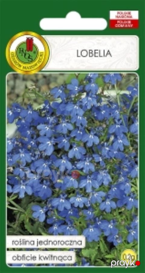 Gül toxumları Pnos Lobelia Mavi 0.2 q — Bakı
