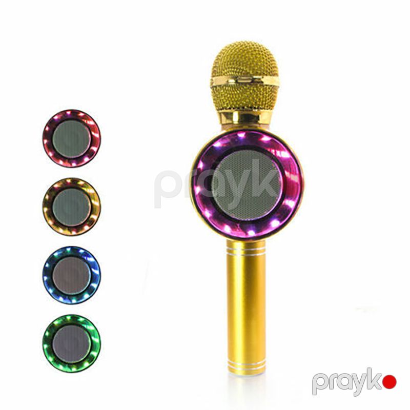 Wster WS-669 Bluetooth Mikrofon Simsiz Portativ Mikrofon 5W — Elektronika, Bakı (2)