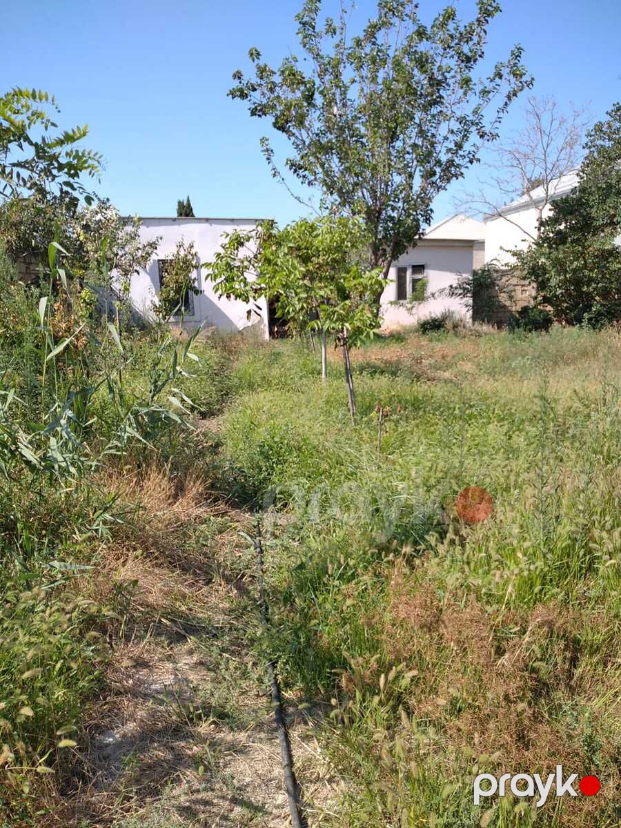 Satılır 9 otaqlı həyət evi/bağ evi 420 m² — Ev, villa, Bakı (4)