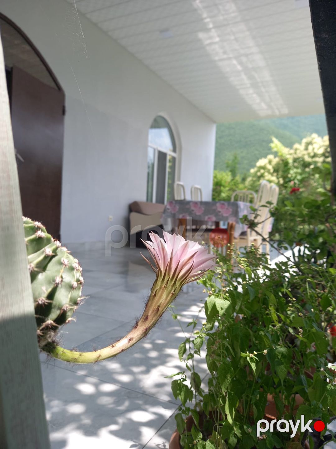 İcarə: Bağ, 120 m², Şəki Marxal yolu — Ev, villa (5)