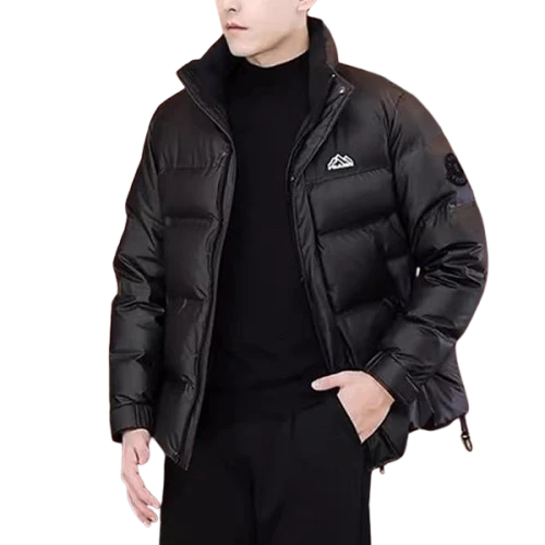 Praise dəbli kişi gödəkçəsi - dik yaxası və 100% qaz tükü — Men's clothing