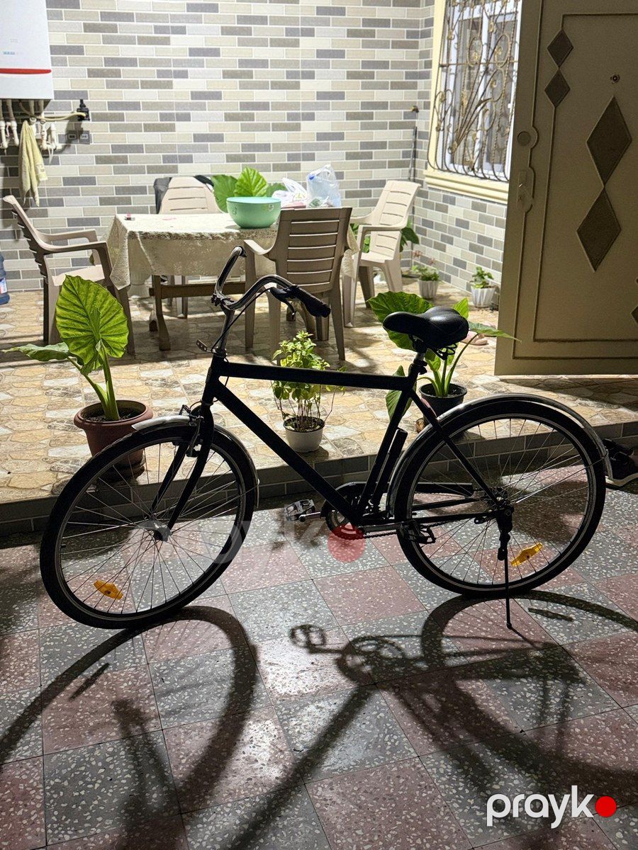 Velosiped — Velosipedlər, Bakı (3)