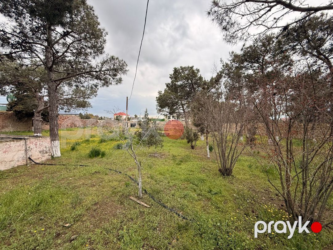 Satılır torpaq 25 sot — Torpaq, Bakı (2)