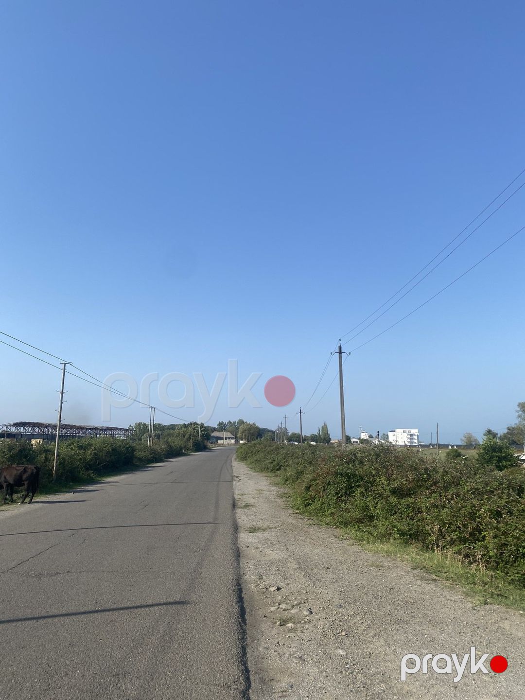 Satılır torpaq 10 sot — Torpaq, Astara (5)