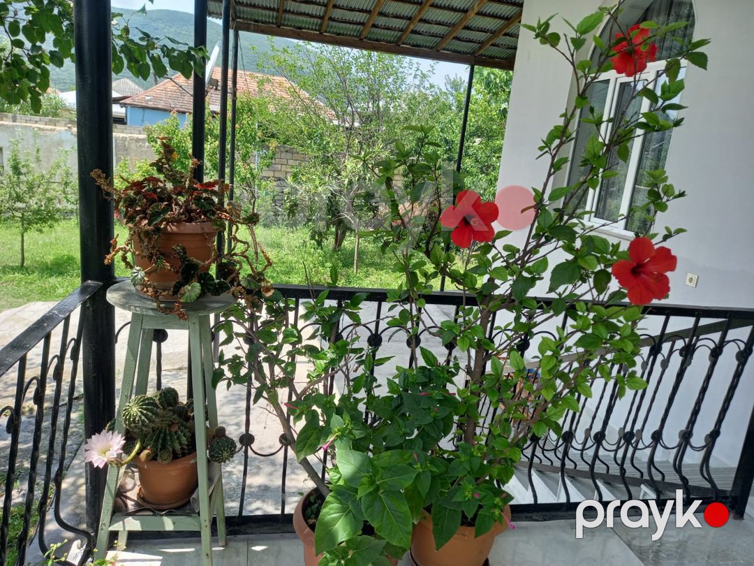 İcarə: Bağ, 120 m², Şəki Marxal yolu — Ev, villa (7)