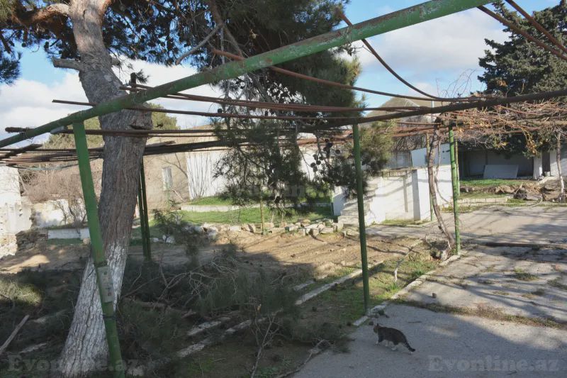 For sale: land, 15 sot — Torpaq, Bakı (6)