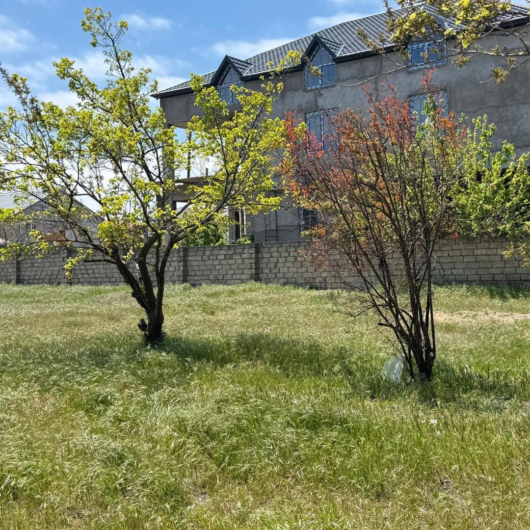 Satılır torpaq 4.2 sot — Torpaq, Bakı (4)