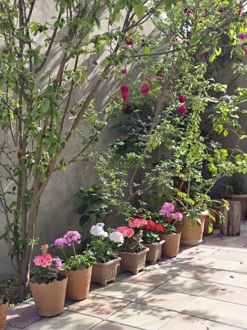 Satılır 4 otaqlı Həyət evi 90 m² Sumqayıt — Sumqayıt