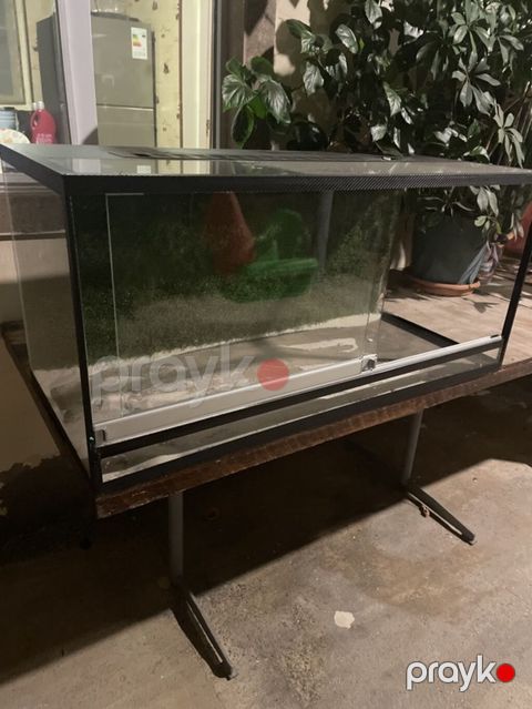 Şüşə teraryum/vivaryum akvarium tipli şkaf - Material: qalın şüşə — Digah