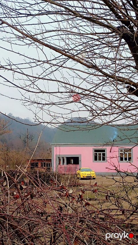 Həyət evi, Balakən r — Balakən