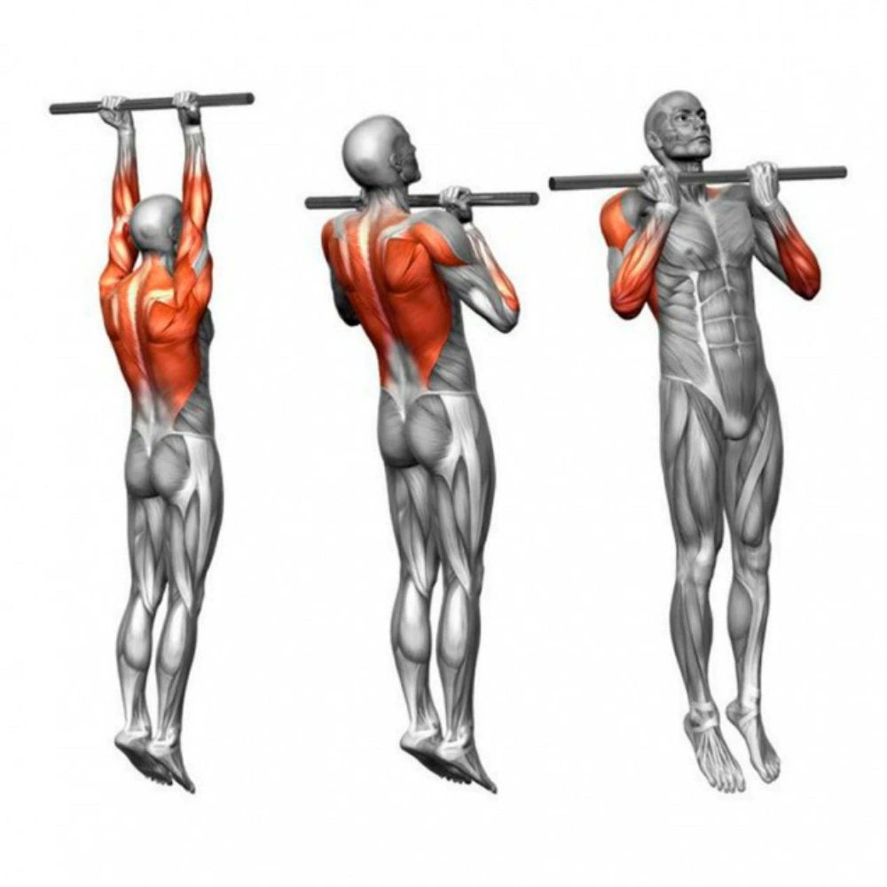 Qapı Arası Üçün Yuymuşaq Tutacaqlı 80-130 sm-lik Tənzimlənən Paslanmaz Polad Turnik 150Kq-a Kimi Davamlı Polad Turnik — Fitness və simulyatorlar, Bakı (3)