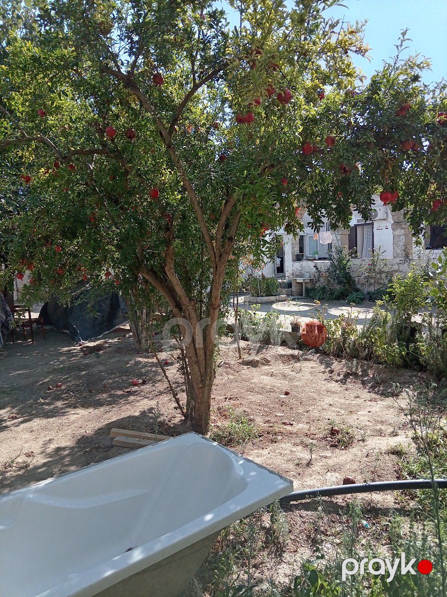Satılır torpaq 3 sot — Torpaq, Bakı (3)