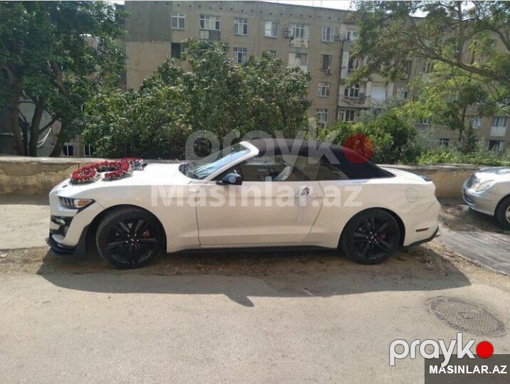 Mustang Coupe 2022 — Minik avtomobili icarəsi, Bakı (6)