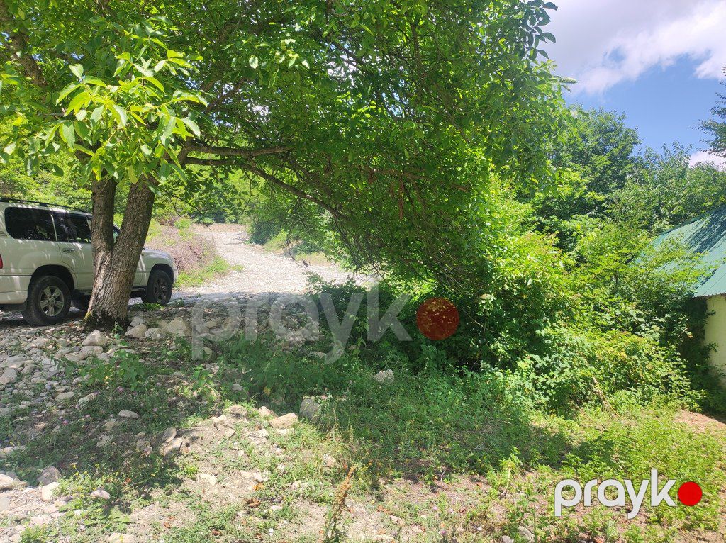 Satılır torpaq 500 sot — Torpaq, Şamaxı (5)