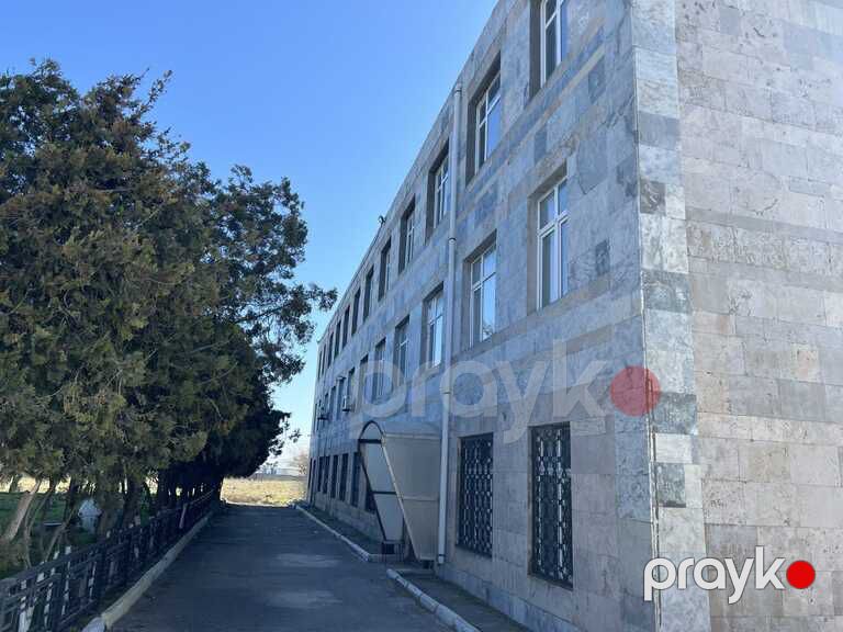 İcarəyə verilir obyekt 533 m² — Əmlak, Bakı (2)