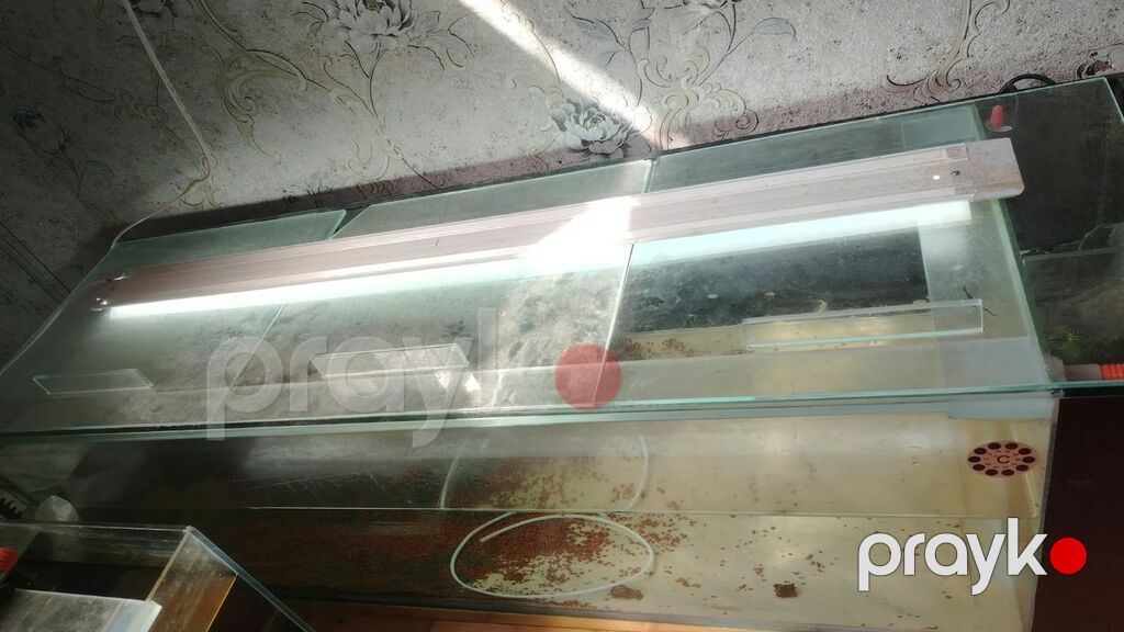 Dördbucaq akvarium, Boş, 250 l — Akvariumlar və balıqlar, Sumqayıt (3)